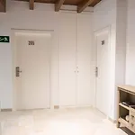 Osabarena Hotela فندق